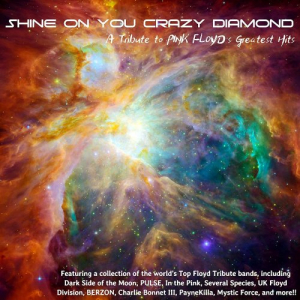 Shine On You Crazy Diamond: A Tribute To Pink Floyds Greatest Hits
