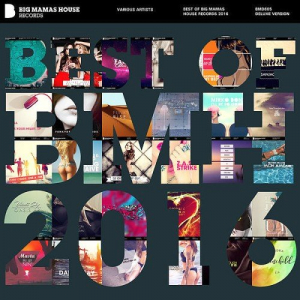 Best of Big Mamas House Records 2016 (Deluxe Version)