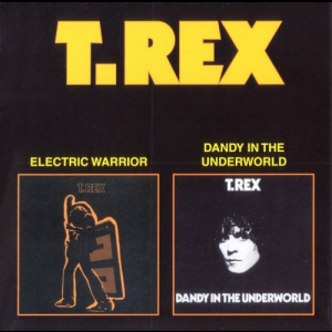 Electric Warrior / Dandy In The Underworld