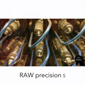 Raw Precision 5
