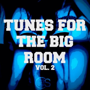 Tunes For The Big Room Vol.2