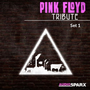 Pink Floyd Tribute, Set 1