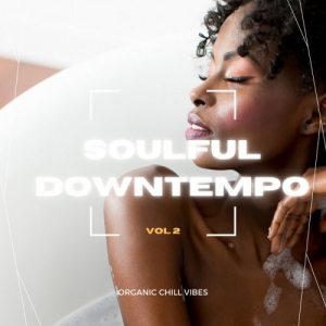 Soulful Downtempo Vol. 2 (Organic Chill Vibes)