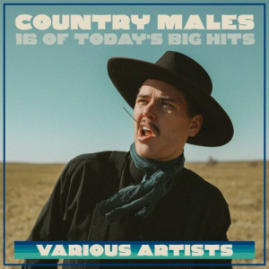 Country Males - 16 Of Today's Big Hits