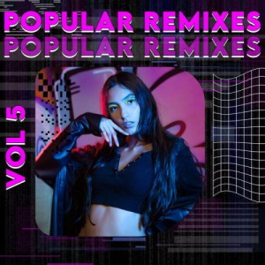 Popular Remixes Vol 5