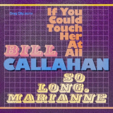 Bill Callahan - If You Could Touch Her at All '2019