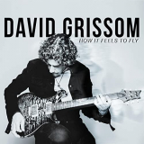 David Grissom - How It Feels To Fly '2014