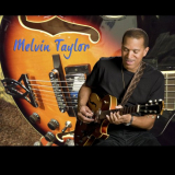 Melvin Taylor - Collection '1982-2013