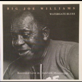 Big Joe Williams - Watergate Blues '1991