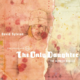 David Sylvian - The Good Son vs The Only Daughter (Blemish Remixes) '2005