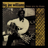 Big Joe Williams - These Are My Blues (Live) '1998/2020