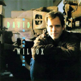 David Wilcox - Big Horizon '1994