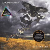 David Gilmour - Rattle That Lock [LP] '2015