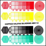 Coppice Halifax - Silverine '2020