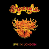 Shpongle - Live in London 2013 (Live) '2019