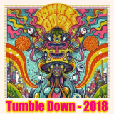 Twiddle - Tumble Down 2018 (Live) '2018