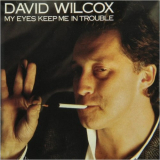 David Wilcox - My Eyes Keep Me In Trouble '1983