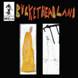 Buckethead - Live From Haddonfield Street Fair '2022