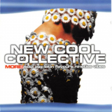 New Cool Collective - More! Soul Jazz Latin Flavours Nineties Vibes '1998