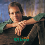 David Wilcox - The Very Best Of David Wilcox '2001