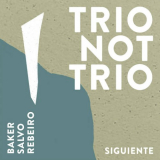 Aidan Baker - Trio Not Trio - Siguiente '2023