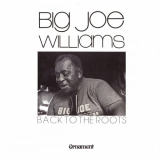 Big Joe Williams - Back to the Roots '2023