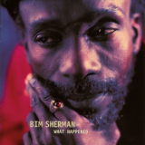 Bim Sherman - What Happened? '1997