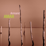 Armand Amar - Retrospective '2008 (2017)