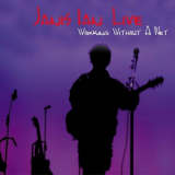 Janis Ian - Janis Ian Live: Working Without a Net '2003