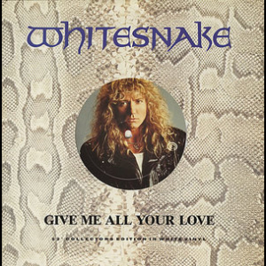 Give Me All Your Love [CDS]