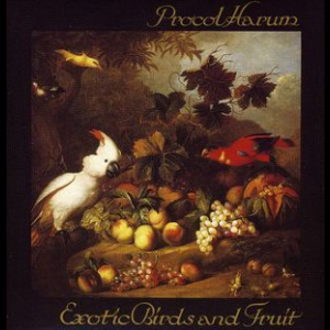 Exotic Birds & Fruit