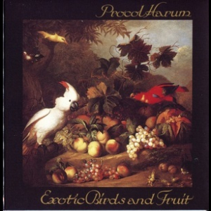 Exotic Birds And Fruit