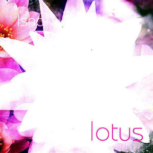 Lotus (Various Singles 2001-2006)