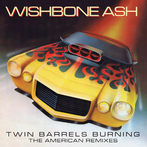 Twin Barrels Burning (The American Remixes)