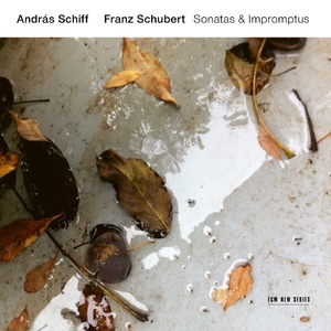 Franz Schubert Sonatas & Impromptus
