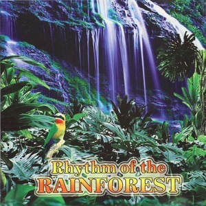 Rhythm Of The Rainforest
