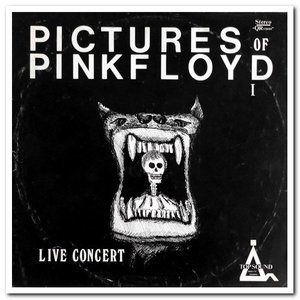 Pictures of Pink Floyd