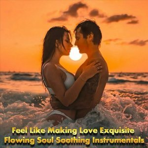 Feel Like Making Love: Exquisite Flowing Soul Soothing Instrumentals