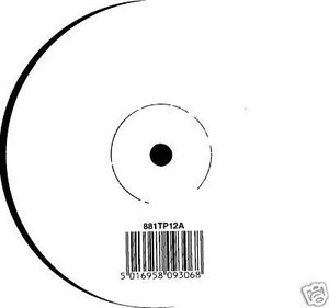 Dull Flame Of Desire (Vinyl 12'' White Label A)