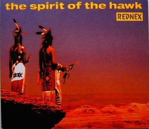 The Spirit Of The Hawk [CDS]