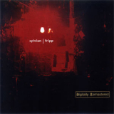 David Sylvian & Robert Fripp - Damage (remastered 2000) '1994