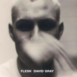 David Gray - Flesh '1994