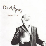David Gray - Foundling (2CD) '2010