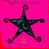 Robyn Hitchcock - A Star For Bram '2000