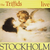 The Triffids - Stockholm - Live '1990