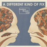 Bombay Bicycle Club - A Different Kind Of Fix '2011