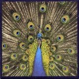 The Bluetones - Expecting To Fly '1996