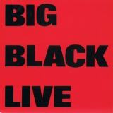 Big Black - Live '1991