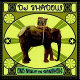 Dj Shadow - One Night In Bangkok '2005