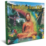 Ravin - Buddha-Bar XVI '2014